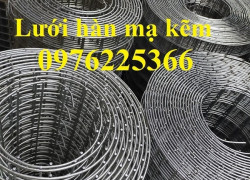 Lưới hàn mạ kẽm D2a50x50, D3a50x50, D4a50x50 hàng sẵn kho Hà Nội