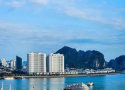Cần bán Cắt Lỗ 800tr căn hộ 2Pn 53m2 View Biển tại chung cư The Sapphire, Bao biển Bến Đoan, Hạ Long.