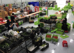 Tuyển soạn hàng giao hàng rau củ làm 1h30 sáng - 11h trưa lương 12tr