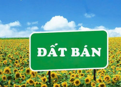 Chính chủ tách bán 80m2 đất đường 3m Cổ Hiền Tuyết Nghĩa Quốc Oai Hà Nội