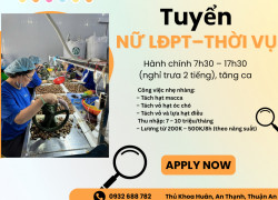 CTY HẠT VÀ GIA VỊ TUYỂN 20 NỮ LĐPT – THỜI VỤ