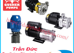 Bơm tự mồi GUSHER  | Nhà cung cấp Gusher pump chính hãng
