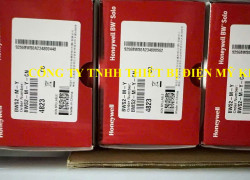 Máy dò không khí Honeywell BWS2-X-Y