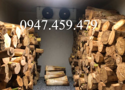 lắp đặt kho lạnh bảo quản củ hủ dừa tại Bến Tre, thi công thiết kế trọn gói