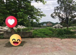 Đất nền