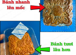 Vì sao nên chọn Oxytoc bảo quản bánh trung thu