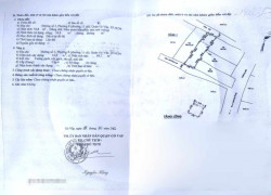 BÁN NHÀ Cây trâm NGAY CÔNG VIÊN LÀNG HOA, P8, GÒ VẤP. Nhà kiên cố ở ngay, 45m2 trệt 3 lầu, 4,39 tỷ