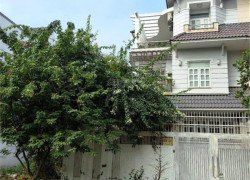 Biệt Thự Khang An Phú Hữu, 8x21m, sổ hồng giá rẻ