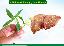 Cung cấp Cao khô Nhọ nồi hàng chất lượng cao giá tốt