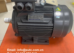 Động Cơ Điện Teco