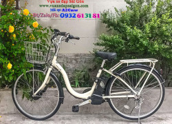 Xe đạp trợ lực điện Cycle Swimmy