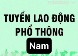 Tuyển gấp 10 nam có sức khoẻ làm ở chợ mặt hàng ngành gia vị