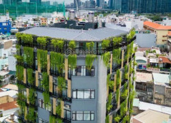 BÁN TOÀ NHÀ 6 TẦNG – 262,1m² – Dương Quảng Hàm, Phường 5, Gò Vấp – GIÁ 45 TỶ
