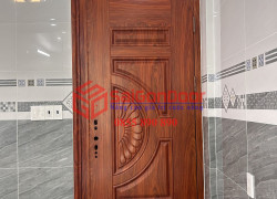 Cửa thép vân gố 1 cánh sgdct
