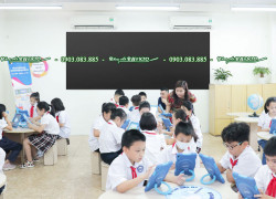 Bảng từ đen dán tường viết phấn