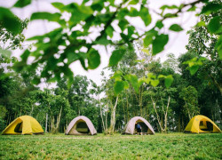 🌅 Chạy trốn khỏi thành phố, bạn đã thử chưa?