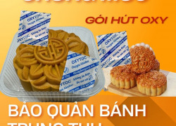 Chống mốc - Bảo quản bánh trung thu- Gói hút oxy