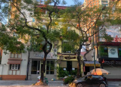 Siêu phẩm, đẳng cấp, thông số hoa hậu! Bán nhà MP Lý Thường Kiệt 135m2, mt 9m - 196 tỷ