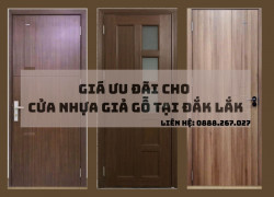 Giá Ưu Đãi Cho Cửa Nhựa Giả Gỗ Tại Đắk Lắk