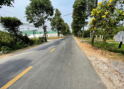CHÍNH CHỦ BÁN ĐẤT NỀN MT LÊ HỮU NGHĨA 95M2 - TP. TÂN AN - SHR - 1.1Tỷ