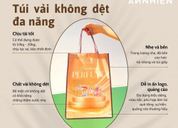 Thiết kế in ấn sản xuất túi vải không dệt tại Vĩnh Long