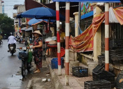 ĐẤT VÂN CANH, SƠN ĐỒNG. Hoài Đức cũ , nhỉnh 5 tỷ