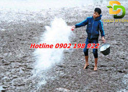 VÔI CHO NGÀNH THỦY SẢN – CẢI TẠO AO – ỔN ĐỊNH PH – AN TOÀN