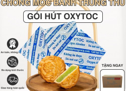 Bánh trung thu nhanh mốc - Nguyên nhân và cách khắc phục