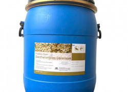 Nấm men đơn bào Sachharomyces Cerevisiae, giúp tôm cá tăng trưởng, bổ sung thức ăn chăn nuôi.