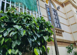 🏫💥💥NHÀ VƯỜN -  PHÂN LÔ - 2 MẶT NGÕ - VIEW HỒ - Ô TÔ - Ở SƯỚNG.💥💥Giá : nhỉnh 13 tỷ