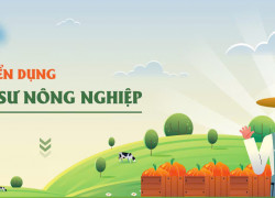 Cần tuyển kỹ sư nông nghiệp làm tại Long An