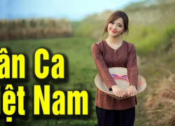 V-Pop Đang "Cháy" Khắp Thế Giới, Nhưng Bạn Có Biết Gốc Rễ Của Nó Ở Đâu? 🤔