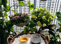 BÁN NHÀ PHÚC LỢI LONG BIÊN 40M 5 TỶ