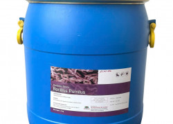 Bacillus Pumilus, thức ăn bổ sung, hỗ trợ đường ruột cho tôm cá