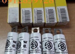 Cầu chì bussmann FWH-100A