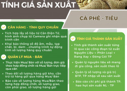 Phần mềm tính quy chuẩn, cân, mua bán và gia công Cafe, Tiêu