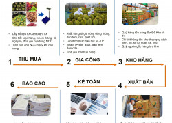 Phần mềm mua bán, gia công tính giá thành nông sản
