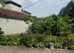 🔥🔥🔥ĐẤT ĐẸP NGUYỆT ÁNG-ĐẠI ÁNG- NGÕ TO - Ô TÔ ĐỖ CỬA-HƠN 8 TỶ 🔥 🔥 🔥