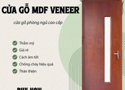 Cửa mdf phòng