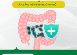 Cung cấp Saccharomyces cerevisiae hàng chất lượng cao giá tốt