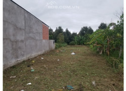 Bán đất mặt tiền đường Gò Dầm, xã Tân Trung, thành phố Gò Công, tỉnh Tiền Giang.