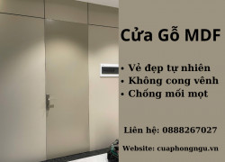 Cửa gỗ MDF: Vẻ đẹp tự nhiên, không cong vênh, chống mối mọt
