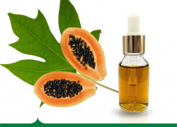Chiết xuất đu đủ Biogreen Bí quyết cho làn da sạch mụn