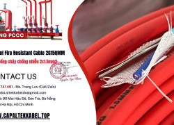 Cáp Chống Cháy Chống Nhiễu – Lựa Chọn Chuẩn Cho Hệ Thống Pccc