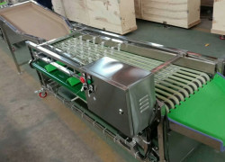 Máy phân loại size củ quả