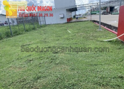 THIẾT KẾ THI CÔNG CẢNH QUAN SÂN VƯỜN CHO QUÁN CÀ PHÊ