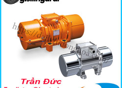 Động cơ rung Italvibras | Italvibras vibration motor