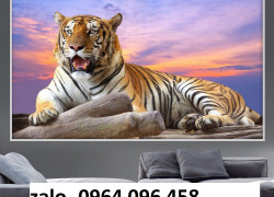 Tranh gạch 3d ốp tường tranh con hổ - SXC55