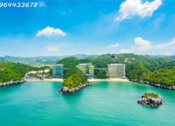 Sở hữu căn hộ “tọa sơn hướng hải” Flamingo Cát Bà – Đầu tư an nhàn, nhận lợi nhuận trước!