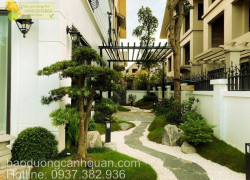 Dịch vụ Cắt tỉa cây xanh, bứng cây ở Đồng Nai, HCM